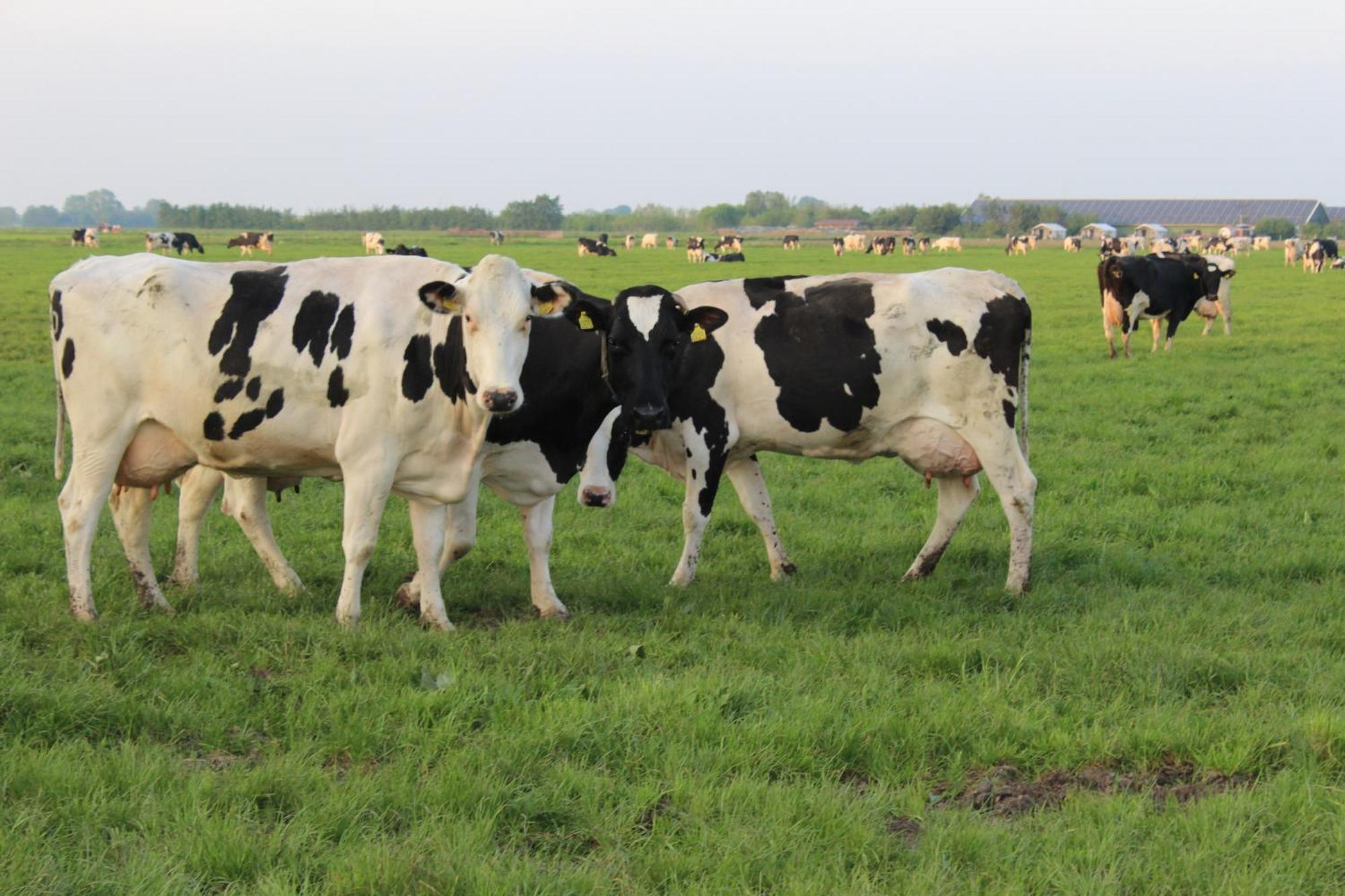 Boerderij Nixhoeve *